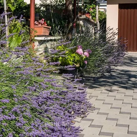 Holiday home Melita Cozy Terrace And Large Garden *
